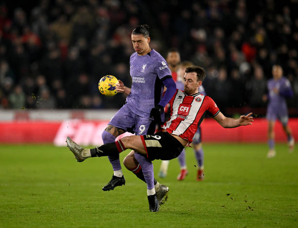 年轻球员的 年轻球员的